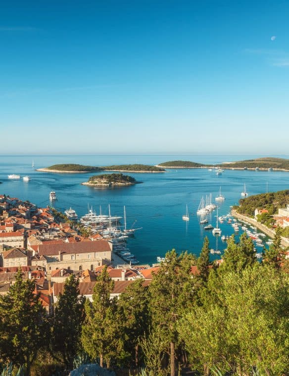 Pikasea, Croatia,