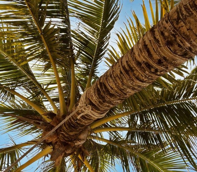 vacanta Pikasea in thailanda cu barca