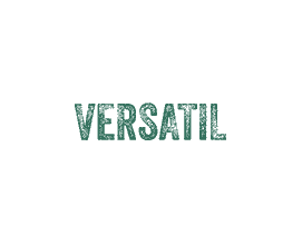 _0004_Spatiu-Versatil